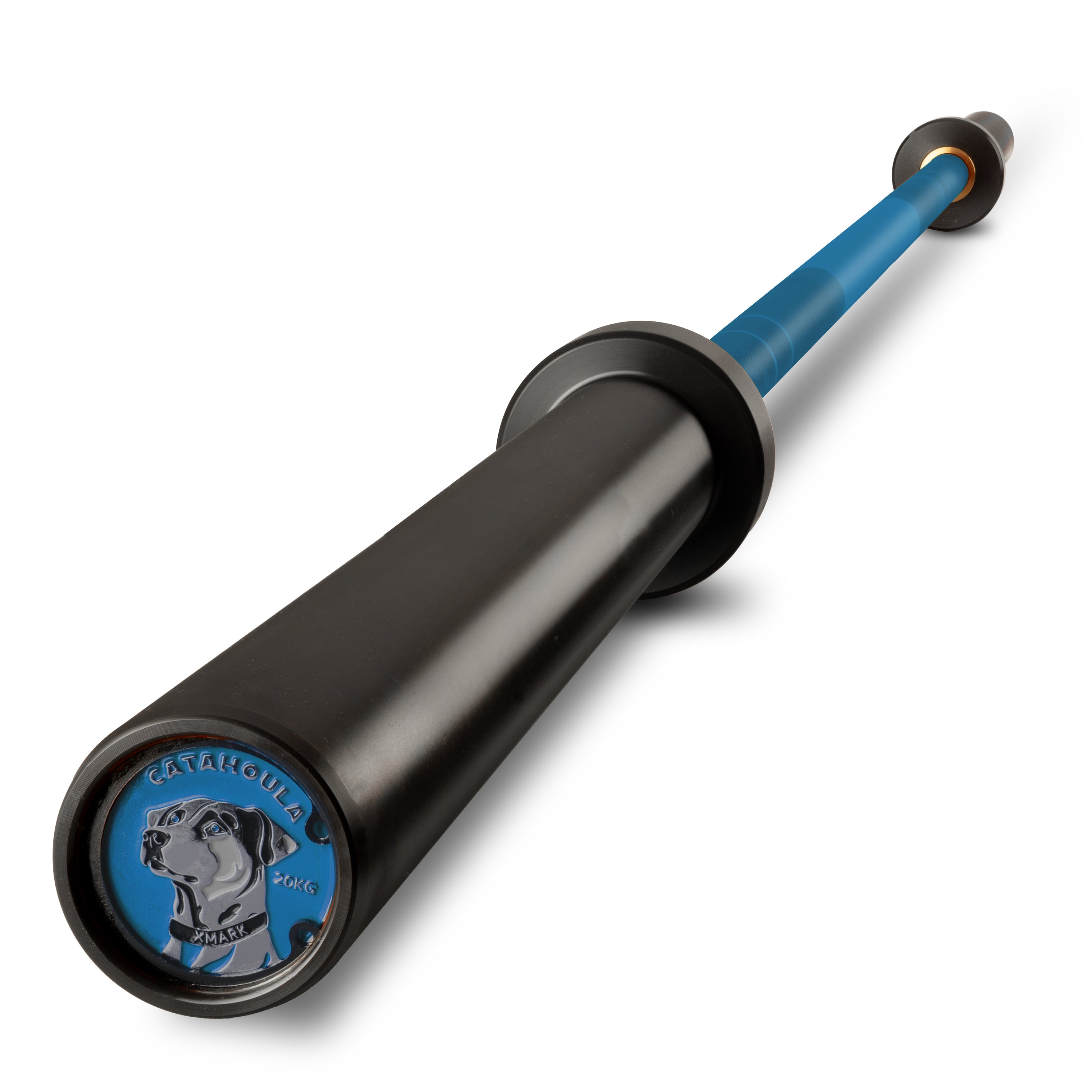 Catahoula barbell in blue